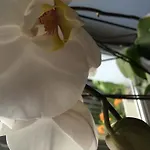 Bed & Breakfast Chambres D'hotes Les Templiers *