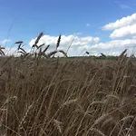 Bed & Breakfast Chambres D'hotes Les Templiers Rugney