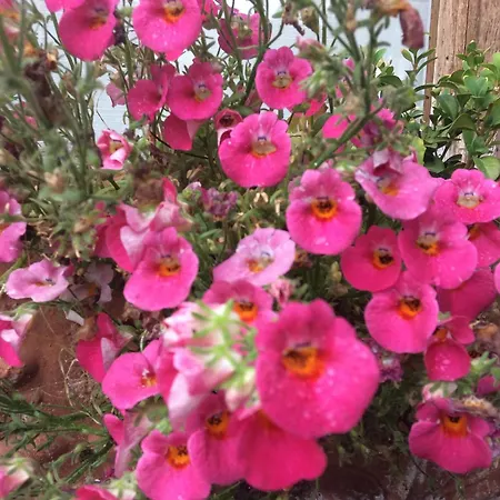 Couette-café Les Templiers