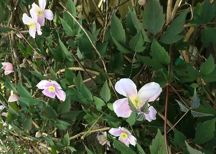 Chambres D'hotes Les Templiers