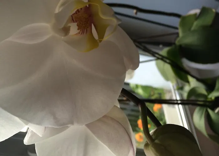 לינה וארוחת בוקר Chambres D'hotes Les Templiers *