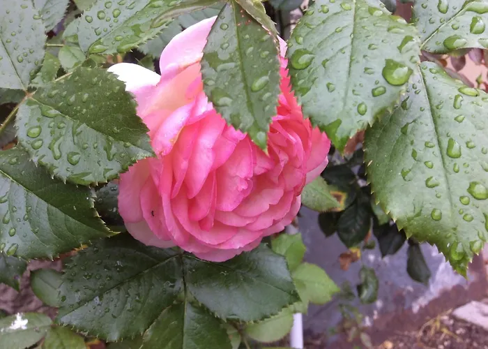 Chambres D'hotes Les Templiers