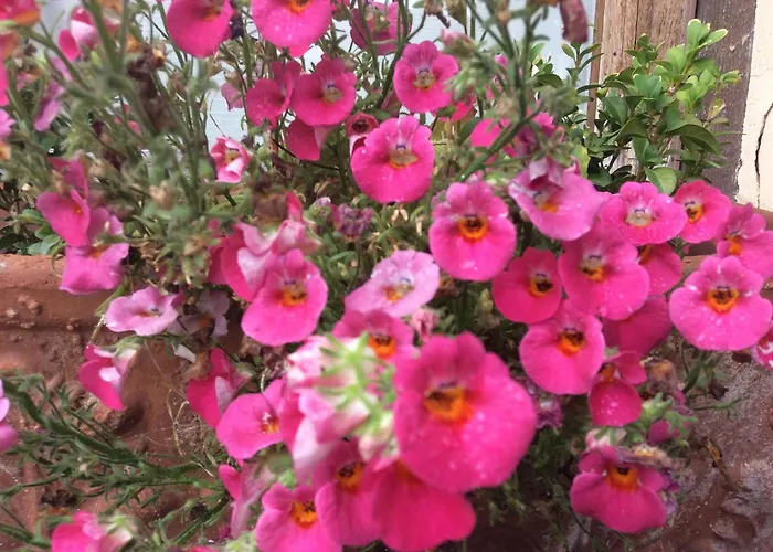 Bed & Breakfast Chambres D'hotes Les Templiers