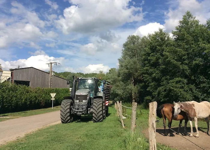 Bed & Breakfast Chambres D'hotes Les Templiers Rugney