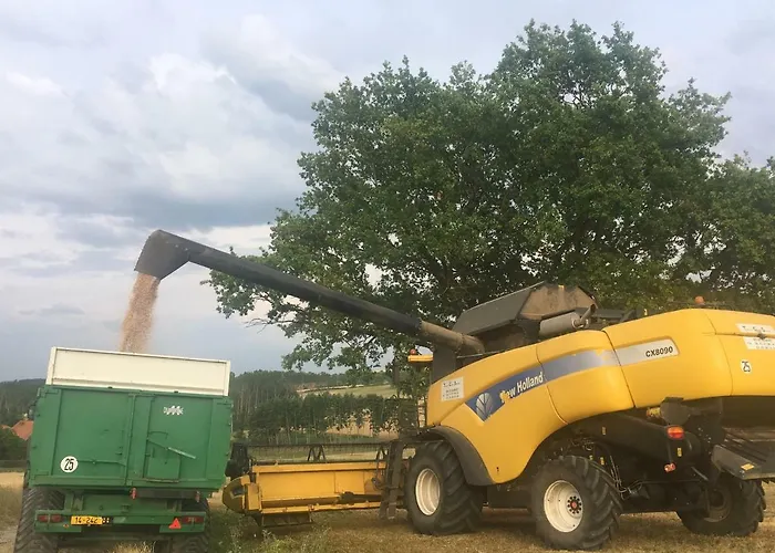 Bed & Breakfast Chambres D'hotes Les Templiers